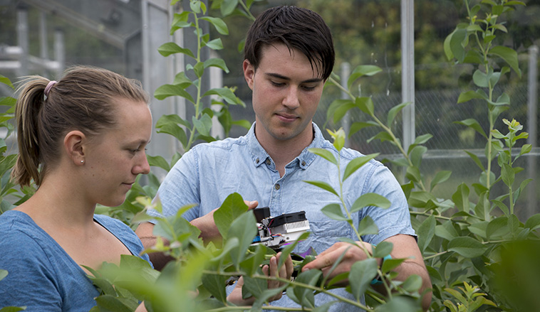 Bachelor Of Horticultural Science (Bachelor Of Horticultural Science ...