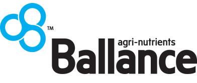 Ballance