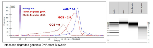 Genomic Dna Quality Score Gqs Massey University